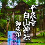 苔が生い茂る境内【平泉寺白山神社】の御朱印と境内をご紹介！